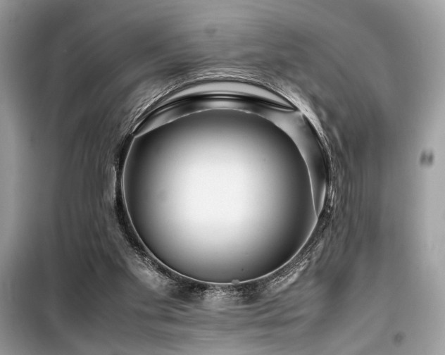 X0000099570109200805161526