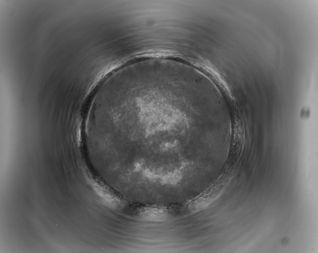 X0000099570110200805161526