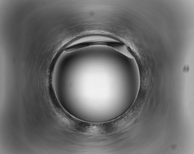 X0000099570111200805161526