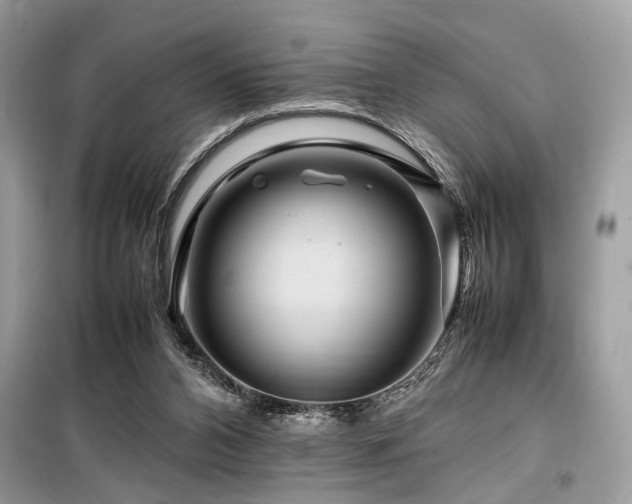 X0000099570112200805161526