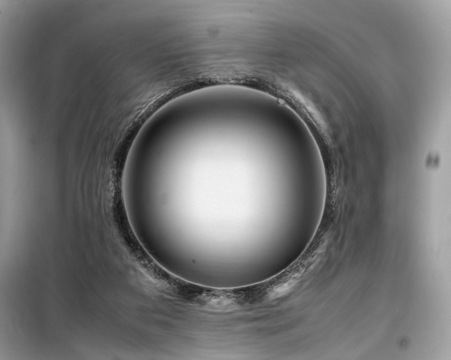 X0000099570113200805161526