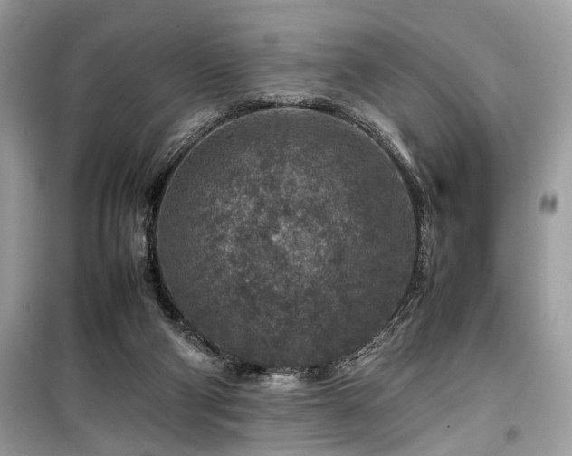 X0000099570114200805161526