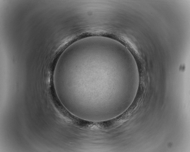 X0000099570115200805161526