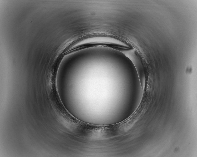 X0000099570116200805161526