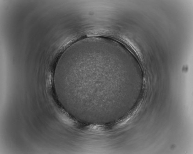 X0000099570117200805161526