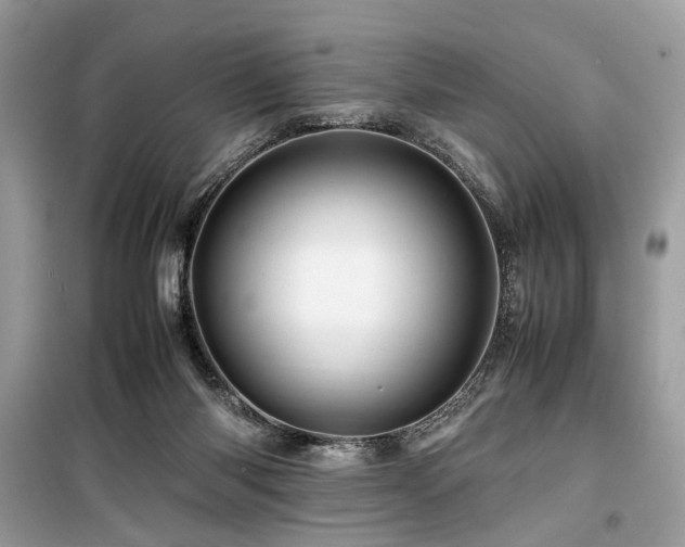 X0000099570118200805161526