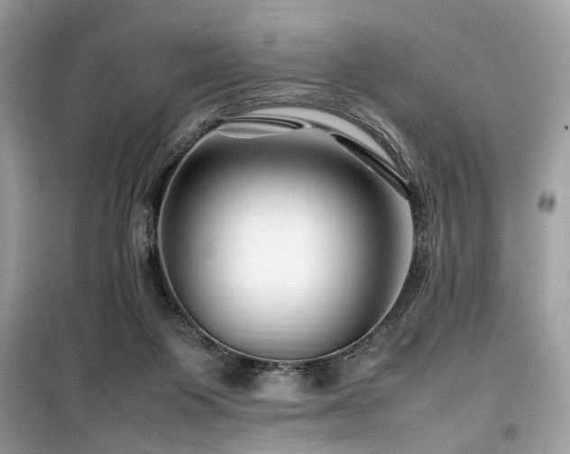 X0000099570119200805161526