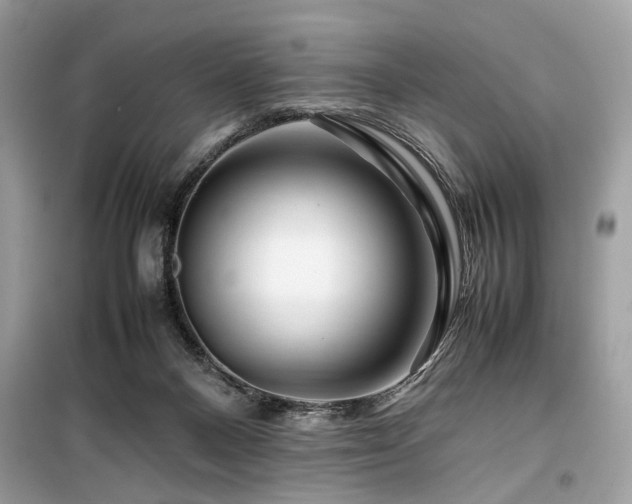 X0000099570120200805161526