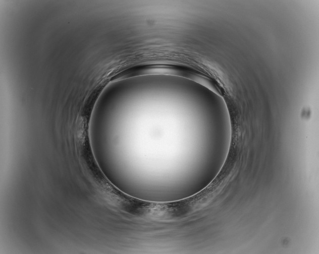 X0000099570121200805161526