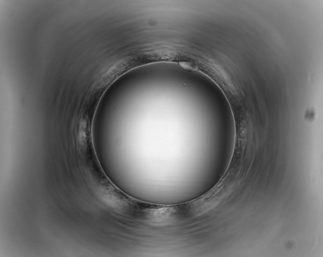 X0000099570122200805161526