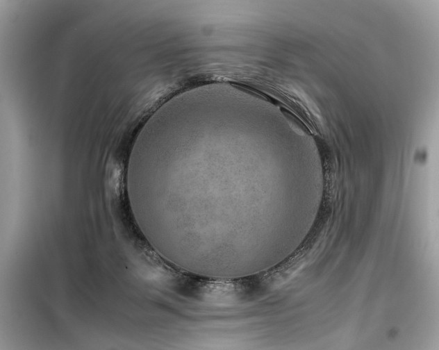 X0000099570123200805161526