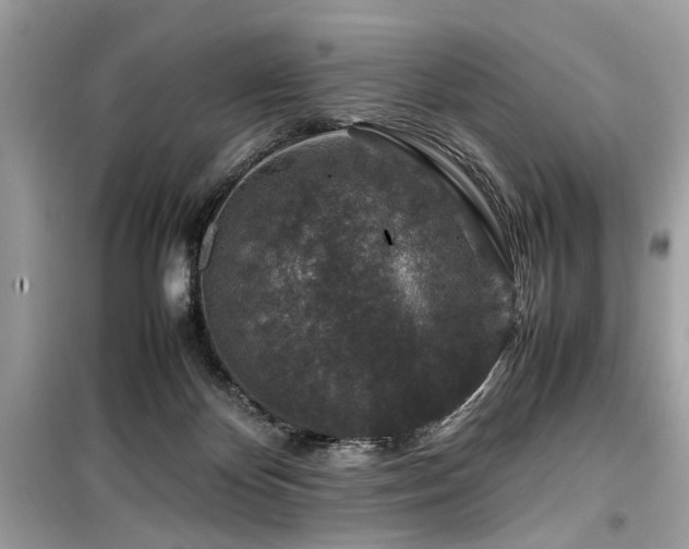 X0000099570124200805161526