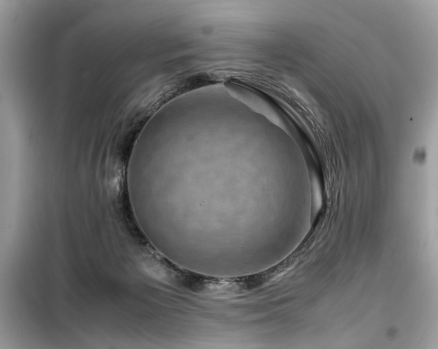 X0000099570125200805161526