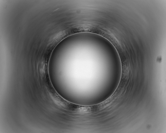 X0000099570126200805161526