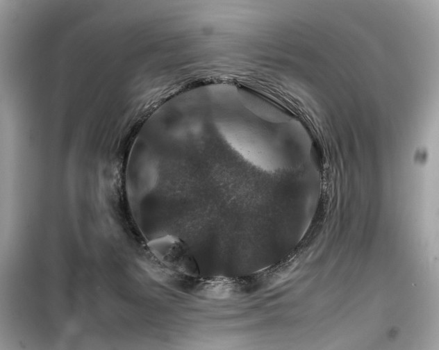 X0000099570127200805161526