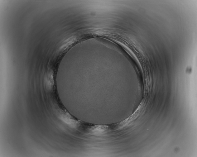 X0000099570128200805161526