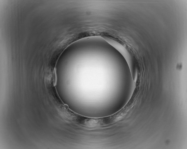 X0000099570129200805161526