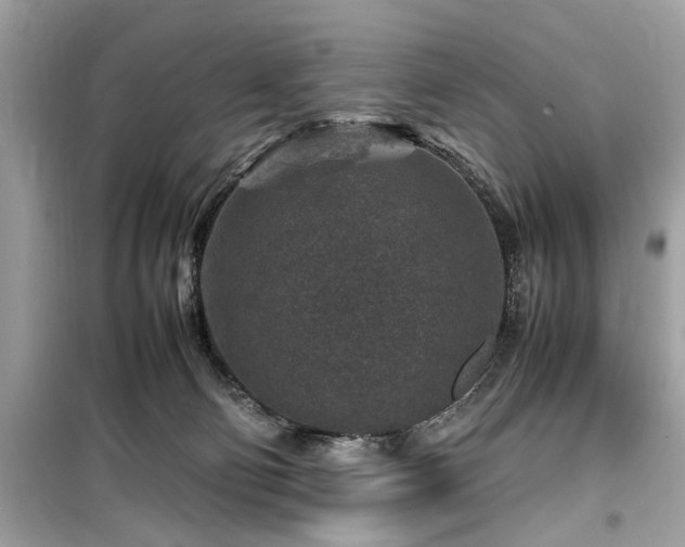 X0000099570130200805161526