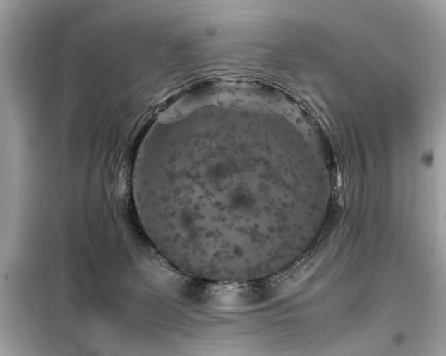 X0000099570131200805161526