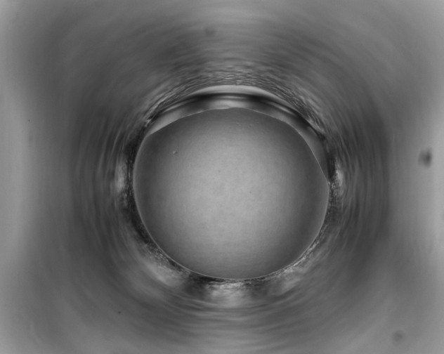 X0000099570132200805161525