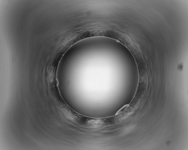 X0000099570133200805161525