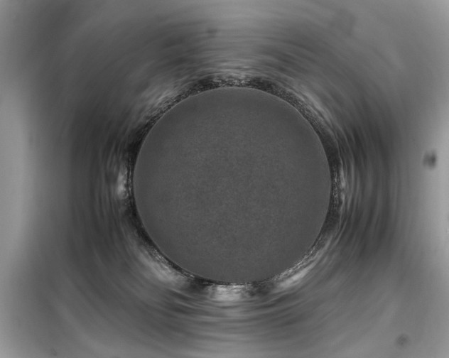 X0000099570134200805161525