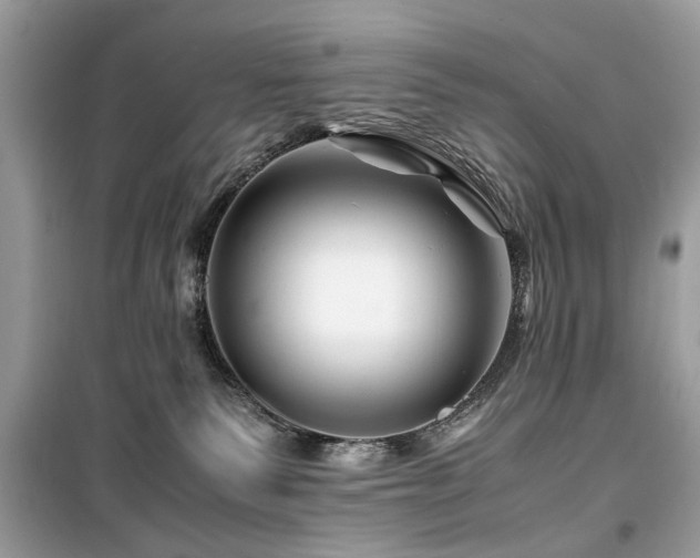 X0000099570135200805161525