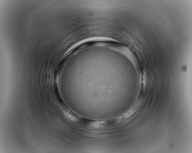 X0000099570136200805161525