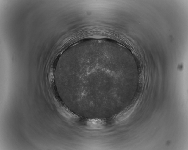 X0000099570137200805161525