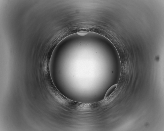 X0000099570138200805161525