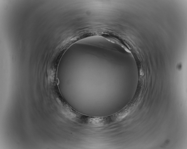 X0000099570139200805161525