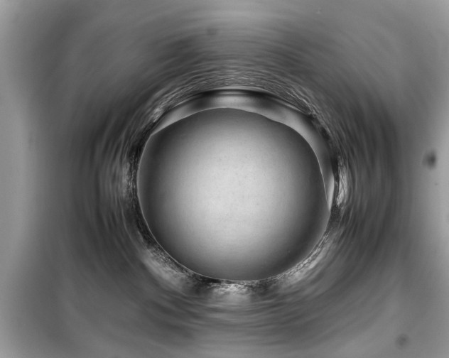 X0000099570140200805161525