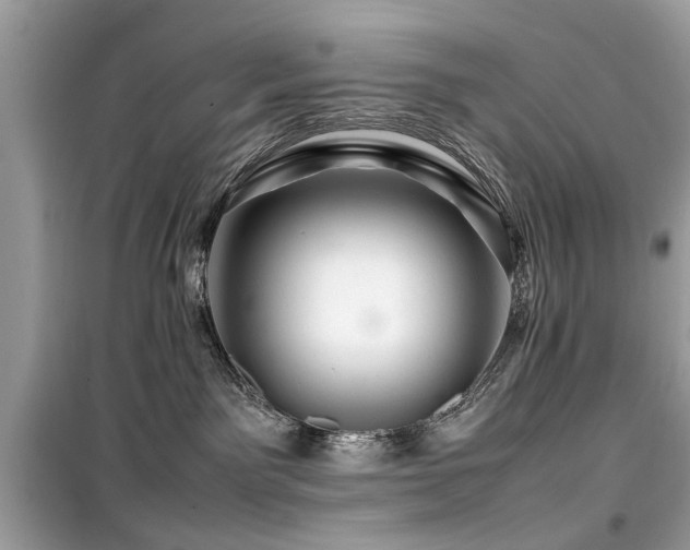 X0000099570141200805161525