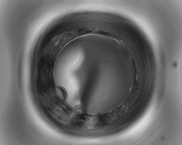 X0000099570143200805161525