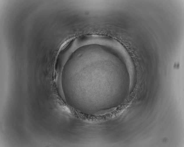 X0000099570144200805161525