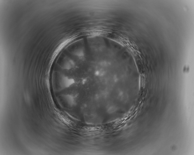 X0000099570147200805161525