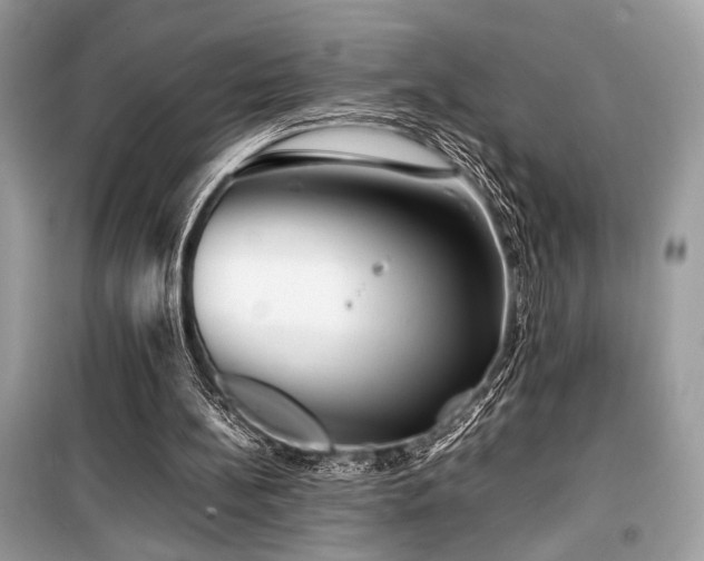 X0000099570148200805161525