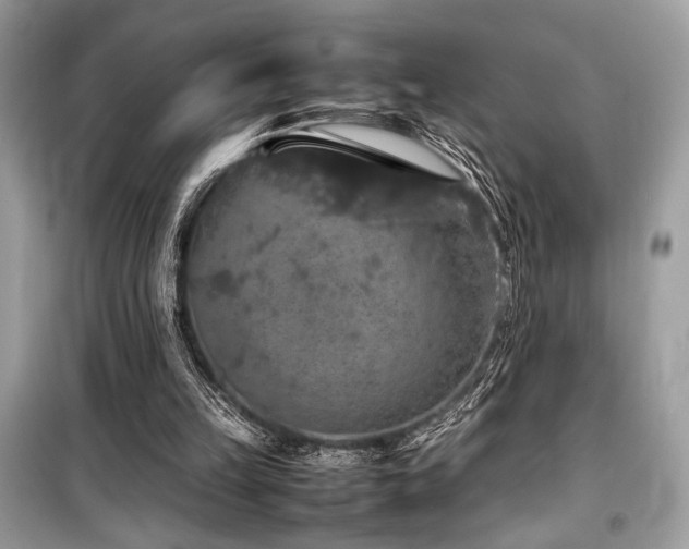 X0000099570149200805161525