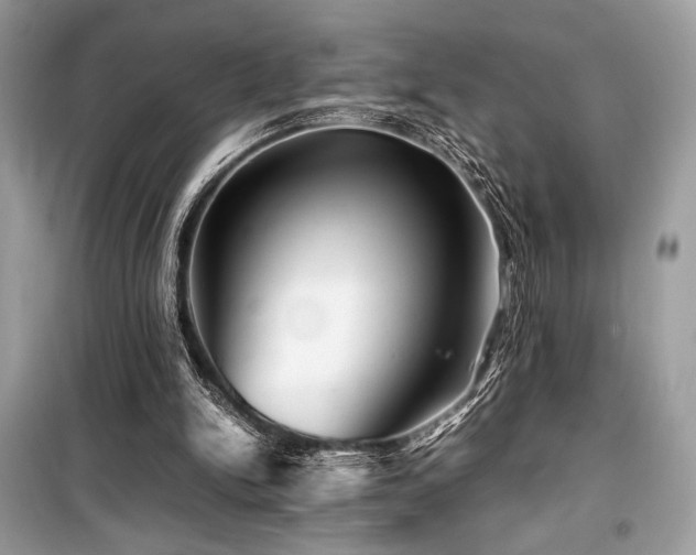 X0000099570150200805161525