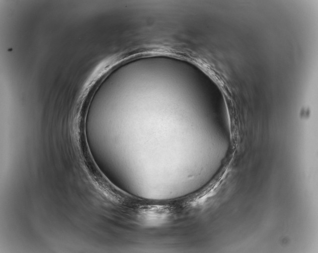 X0000099570151200805161525