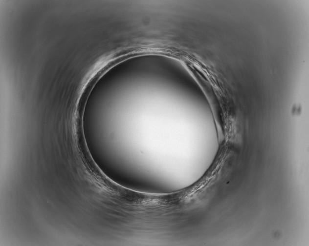 X0000099570152200805161525