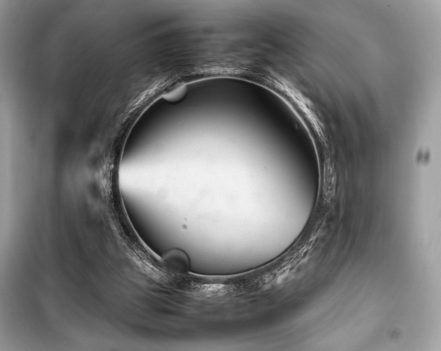 X0000099570153200805161525