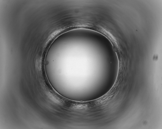 X0000099570155200805161525