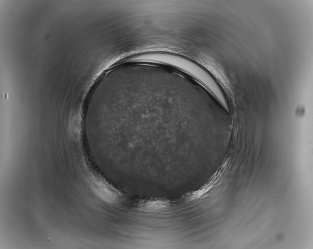 X0000099570156200805161525