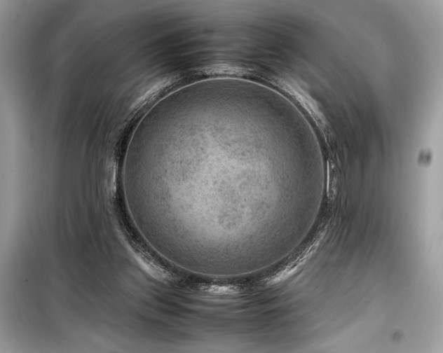 X0000099570157200805161525