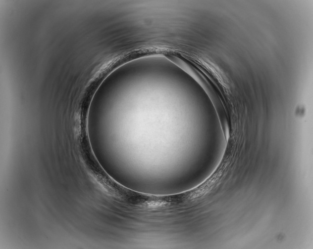 X0000099570158200805161525