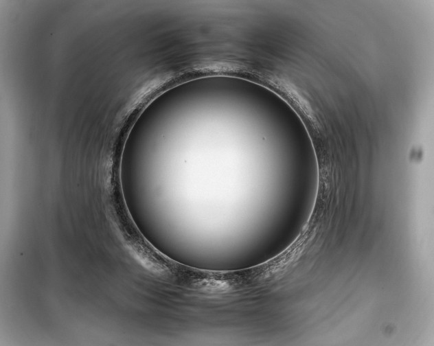 X0000099570159200805161525