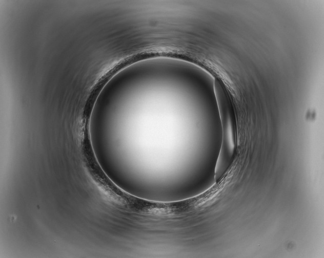 X0000099570160200805161525