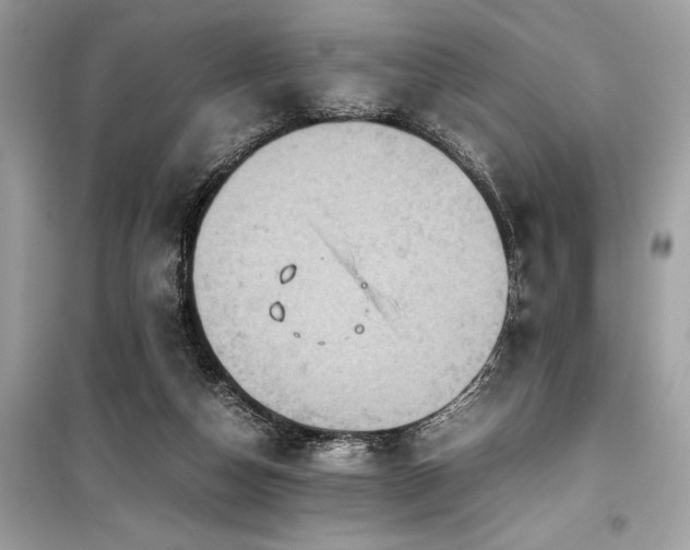 X0000099570162200805161525