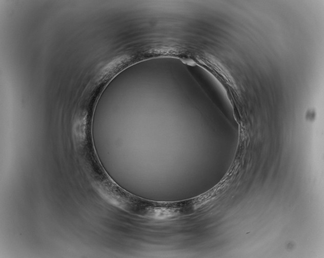 X0000099570163200805161525